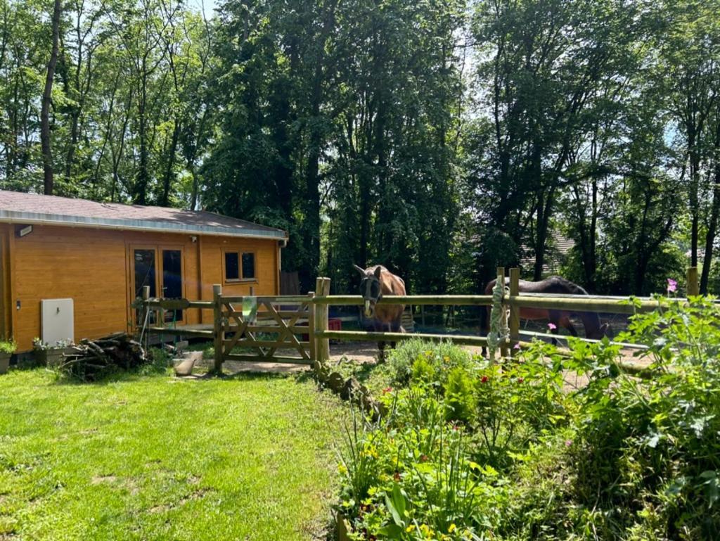 Logements ZEN en NORMANDIE Saint-Vincent-des-Bois Extérieur photo